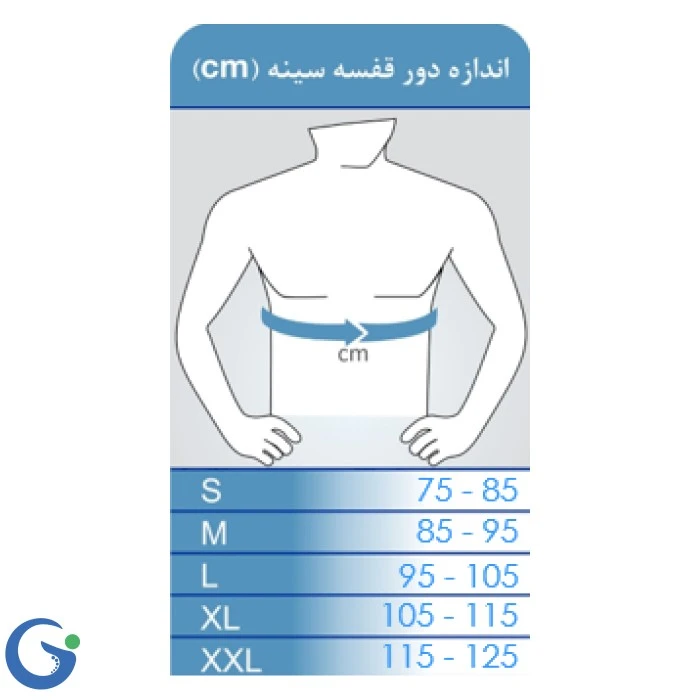بانداژ ترقوه چیپسو مدل  CL141